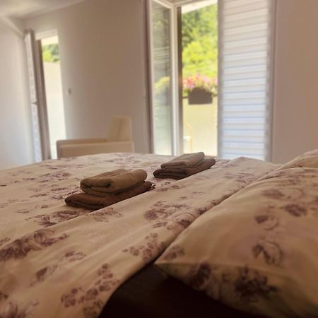 Zeleni Dvor Bed & Breakfast Ribarska Banja Bagian luar foto