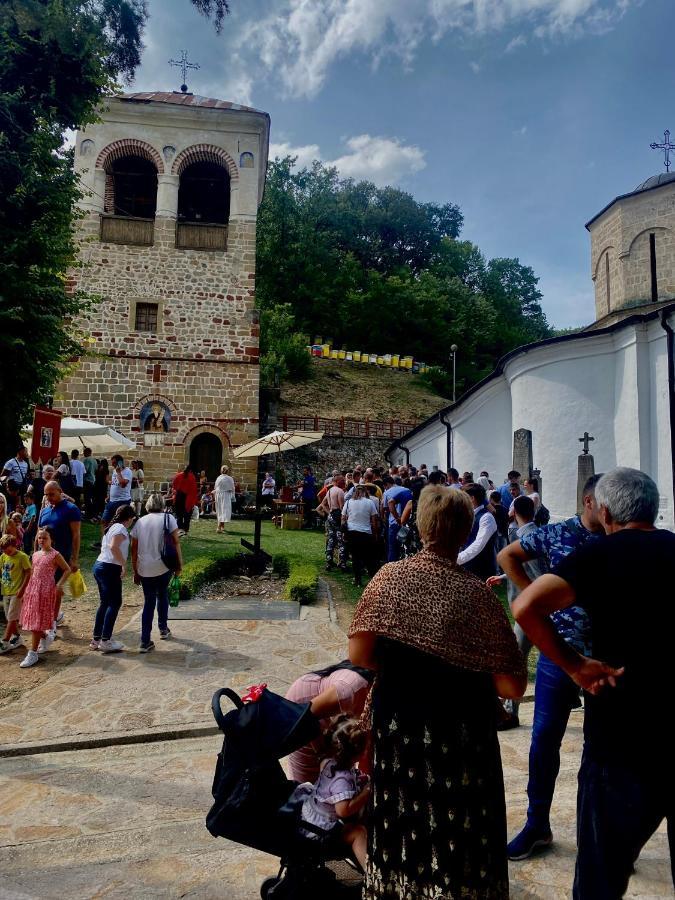 Zeleni Dvor Bed & Breakfast Ribarska Banja Bagian luar foto
