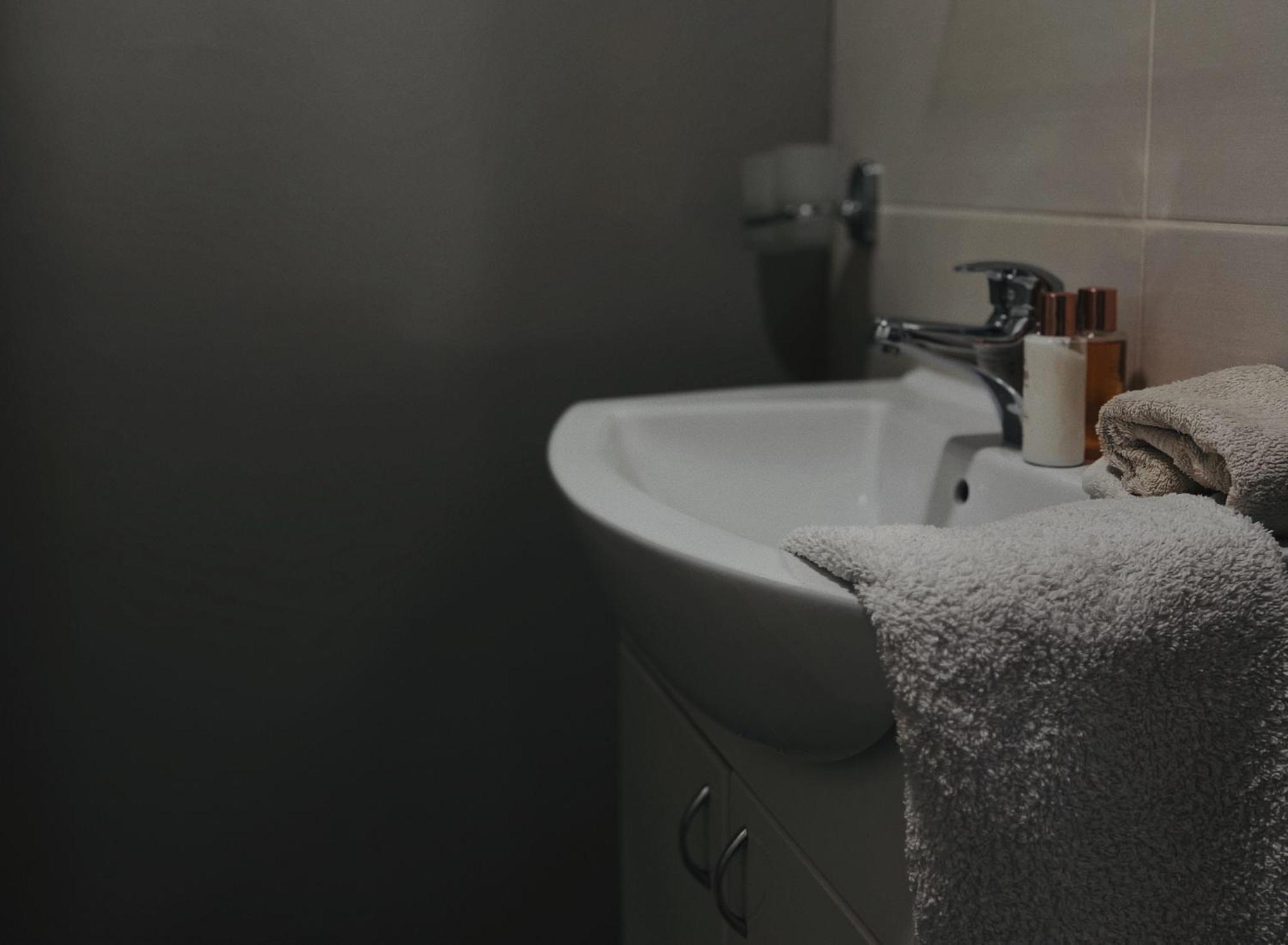 Zeleni Dvor Bed & Breakfast Ribarska Banja Bagian luar foto